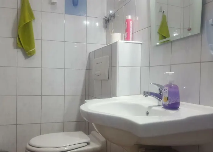 招待所 - 巴塔克